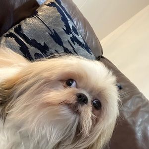 Meet your Posher, Valeria